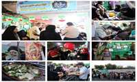 خدمت‌رسانی به زائران غدیر با برپایی موکب درمانی-فرهنگی دانشگاه علوم پزشکی البرز